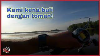 Kena buli dengan Ikan Toman!