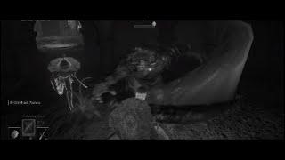 Dungeon Crawlin'