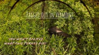 Tagged out in Vermont ~ One of the craziest turkey hunts of my life! 