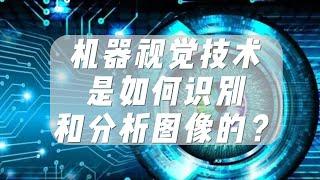 机器视觉技术是如何识别和分析图像的？