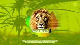 RAGGA BOMBS - Special Mix Vol.3 (Mixed By Bassing)