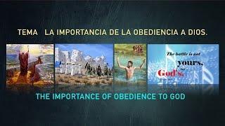 Su Gran Alabanza Hawaii - LA IMPORTANCIA DE LA OBEDIENCIA - Pastor Brian Mauricio