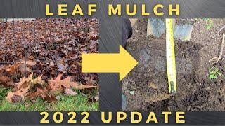 Autumn Leaf Mulch 2022 Update