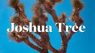 Joshua Tree