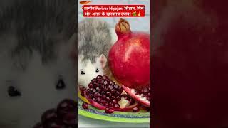 प्राचीन Parivar Niyojan: Rue, Pepper और Pomegranate के रहस्यमय उपाय!  #shorts #youtubeshorts