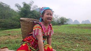 120 days building a bamboo house - building a new life together - missing mom /ly thi ngan