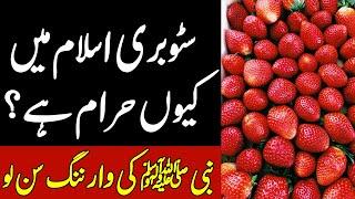 Strawberry Khana Halal Hai Ya Haram? MAKTAB TV