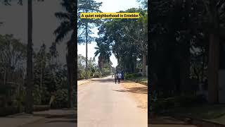 A quiet neighborhood in Entebbe #uganda