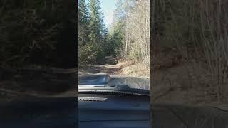 И снова в дебри....