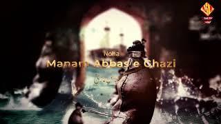 INTRODUCTION NOHAY 2019 | KASHIF ALI ZAIDI | NOHAY 2019