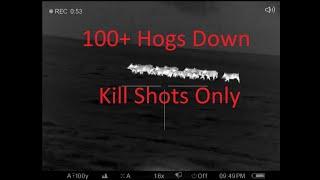 115 Hogs Down-Thermal Hog Hunting