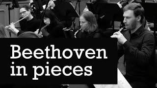 Beethoven in pieces