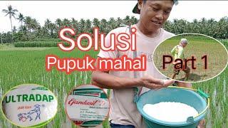 SOLUSI Pupuk mahal dan langka Part 1