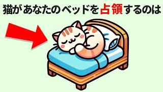 【かわいい猫のおもしろ雑学】猫の秘密と不思議な習性！全て知ってたらあなたは猫博士！かわいい猫ちゃんたちから好かれるに違いない！ #雑学 #豆知識 #トリビア