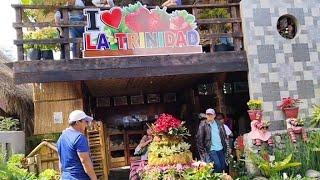 ADIVAY AGRI-TOURISM FESTIVAL IN BENGUET