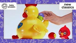All About Birds | New Classics | Baby Einstein | Learning Show for Toddlers | Kids Cartoons