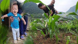 Mother and son took care of the corn garden and dug the house's trenches to prepare the foundation