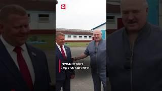 Лукашенко: Это мы привыкли: дворцы, дворцы! А животным дворцы не надо! #лукашенко #новости #политика