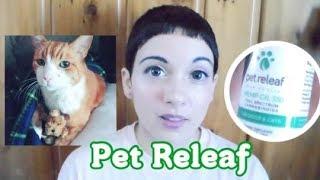 Pet Releaf CBD Oil for Pets REVIEW! Helped my senior cat stay comfortable