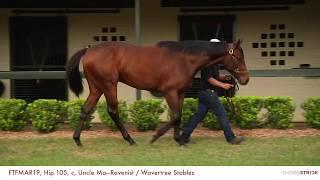 FTFMAR19, Hip 105, c, Uncle Mo—Ravenist / Wavertree Stables