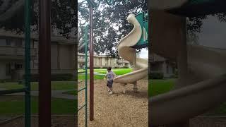 King Kong vs chimp