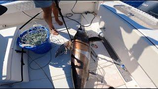 How to CATCH A MASSIVE SWORDFISH!! *IN DEPTH* Catch & Clean (South Florida)