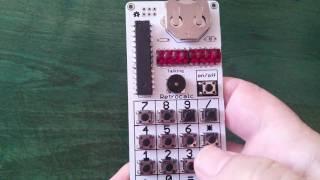 Handmade retro taking calculator with QDSP6064 bubble display