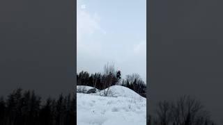 Snow  #foryou #therian #orangecat #quadrobics #snow #jump #nature #mask