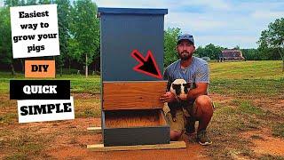 The only DIY pig feeder viedo you need to watch!