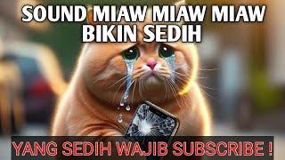 SOUND SAD MIAW MIAW MIAW VIRAL DI TIKTOK