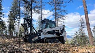 Forestry Mulcher on Bobcat T770