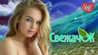 СВЕЖАЧОК ЗАЗВУЧИ ДУША  СБОРНИК КРАСИВЫХ ПЕСЕН WLV  RUSSISCHE MUSIK  RUSSIAN MUSIC HITS