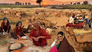 Nomadic women evening routine | Cooking dinner in open the sky | desert village life