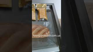 Вакуумная упаковочная машина двухкамерная.