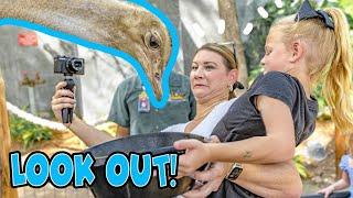 Quints Play Zoo Keeper For A Day!  Houston Interactive Aquarium and Animal Sanctuary Takeover