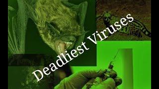 Top 7 deadliest #viruses in the earth with no # vaccine More dangerous than #COVID19