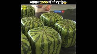 कैसे जापान 2050 में जी रहा है?  | Japan Is Living In 2050 | The Fact | #shorts #ytshorts