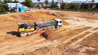 Amazing Skill Operator SHANTUI Bulldozer Spreading Dirt And 12 Wheel Dump Truck Unloading Dirt