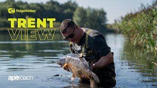 Huge Hit Of Scaly Carp! | The Final APEroach | Carp Fishing