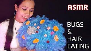 Asmr Hindi | Asmr the Girl Eats The Bugs Out Of Your Hair   Hair eating ~ Hair Play ASMR