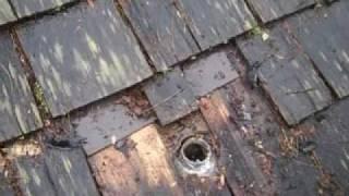 Roof Repair - Pipe Jack