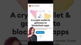 How to Set-up A MetaMask Wallet with Playboy
