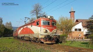 Trenuri / Trains in Vatra Dornei (Bucovina - Romania)