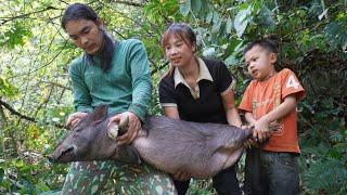 Wild boars come to destroy fluke gardens, set traps to catch wild boars to raise, and build farms