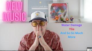 New Music: Water Damage, Ylia, Robbie Krieger's Shirt(?) and Rev Reviews #vinylcommunity #music