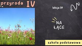 Przyroda klasa 4 [Lekcja 39 - Na łące]