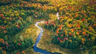 Autumn in the Canadian Wilderness