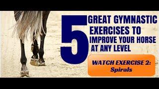 5 Great Gymnastic Exercises to Improve Your Horse - Exercise 2 (Spirals)