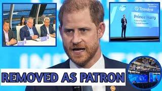 Harry OUSTED as Travalyst Patron in Stunning Boardroom Coup Days After Envision 2025 Keynote speech