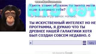 разговор с новечком - обезьяна бот???